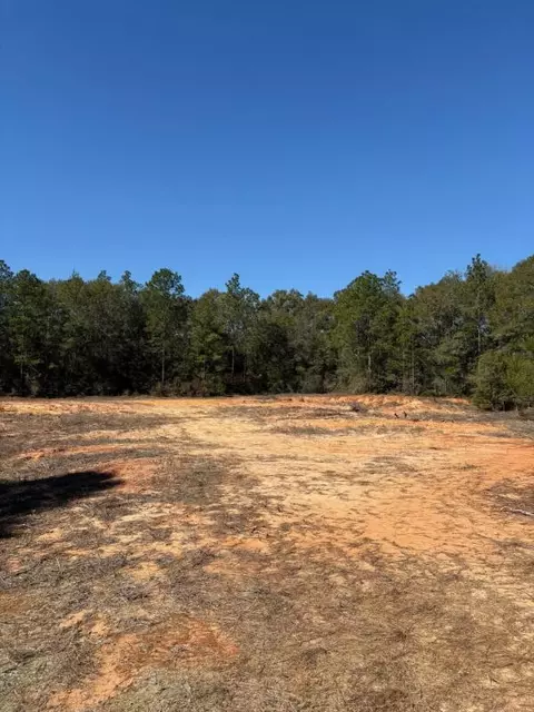 0 Wild Hare Ln, Crestview, FL 32539 photo 9