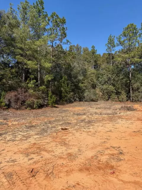 0 Wild Hare Ln, Crestview, FL 32539 photo 8