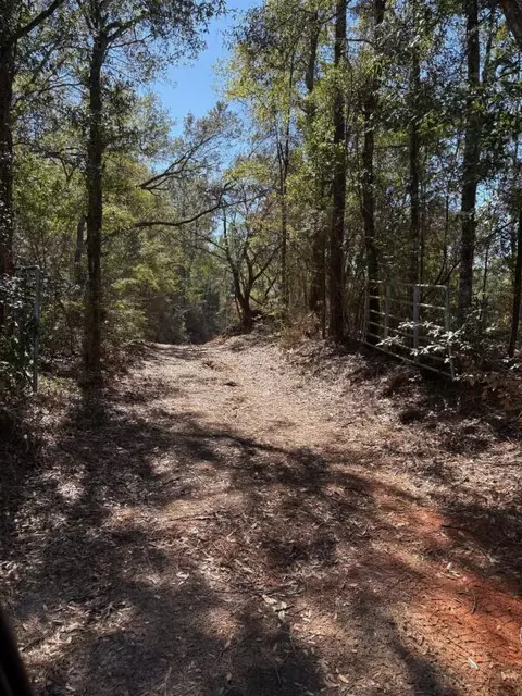 0 Wild Hare Ln, Crestview, FL 32539 photo 6