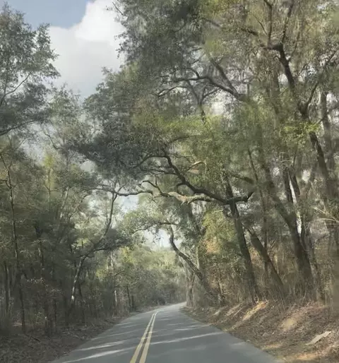 1 Pine Log Rd, Chipley, FL 32428 photo 4