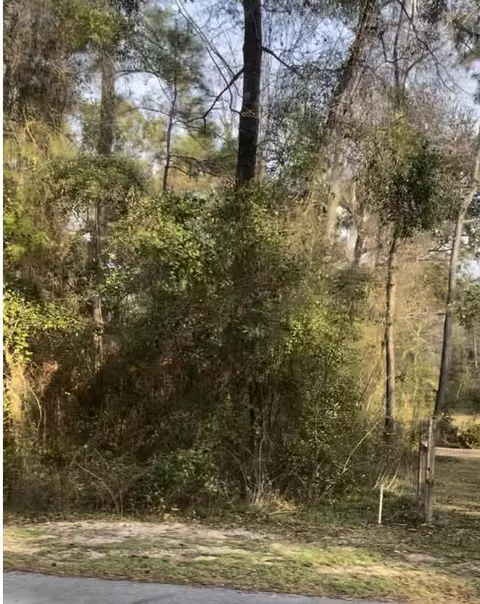 1 Pine Log Rd, Chipley, FL 32428 photo 6