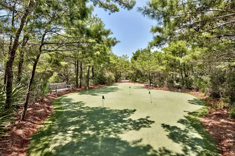 View/Area - 30 N Shingle Ln, Watersound, FL 32461 photo 4 of 4