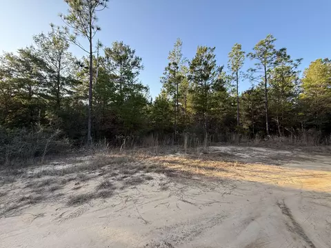lot5 Blk 54 On Forest Ln, Defuniak Springs, FL 32433