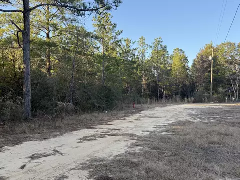lot5 Blk 54 On Forest Ln, Defuniak Springs, FL 32433
