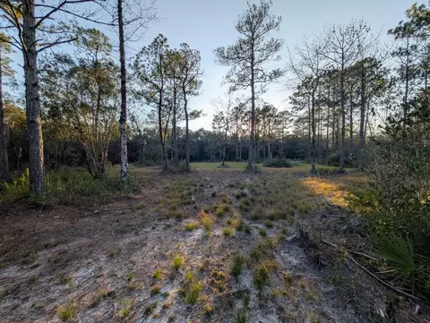 tbd Sowell Dr, Crestview, FL 32539 photo 18