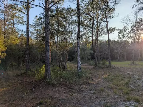 tbd Sowell Dr, Crestview, FL 32539 photo 16