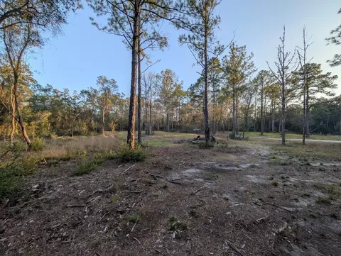 tbd Sowell Dr, Crestview, FL 32539 photo 22