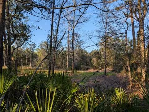 tbd Sowell Dr, Crestview, FL 32539 photo 4