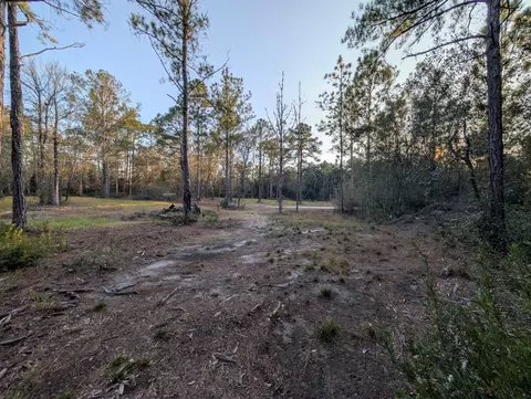 tbd Sowell Dr, Crestview, FL 32539 photo 23