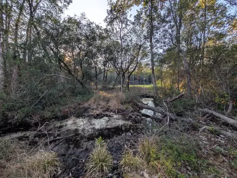 tbd Sowell Dr, Crestview, FL 32539 photo 28