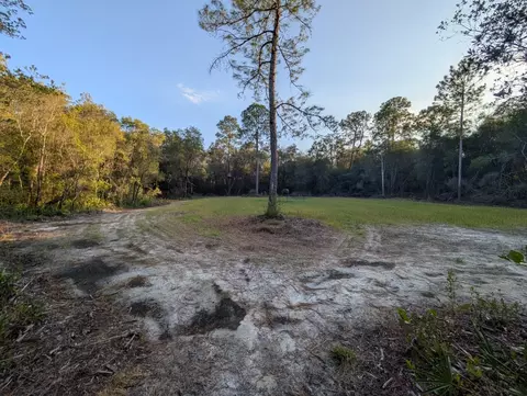 tbd Sowell Dr, Crestview, FL 32539 photo 10