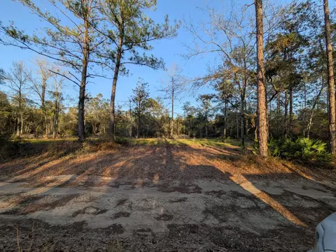 tbd Sowell Dr, Crestview, FL 32539 photo 5