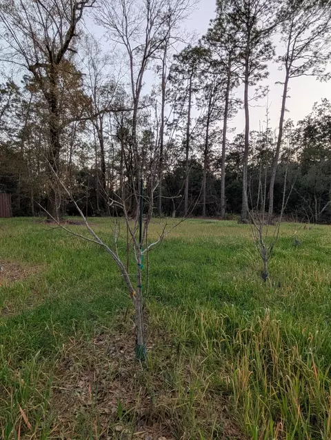 tbd Sowell Dr, Crestview, FL 32539 photo 36
