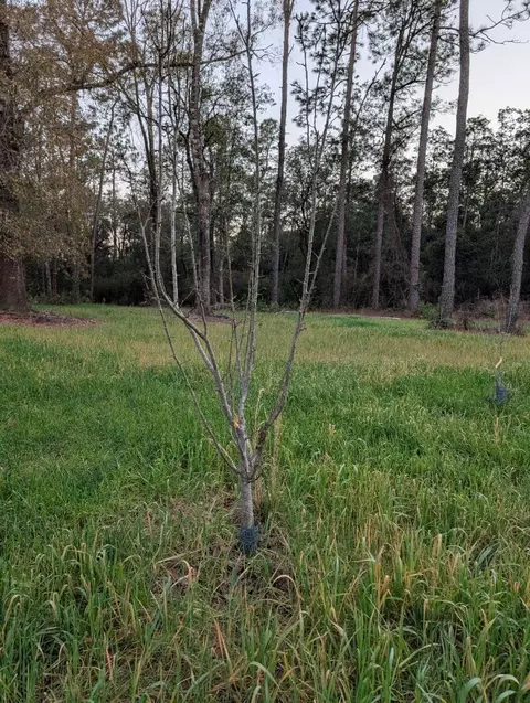 tbd Sowell Dr, Crestview, FL 32539 photo 33