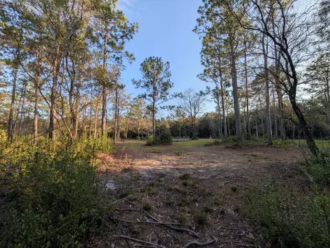 tbd Sowell Dr, Crestview, FL 32539 photo 15