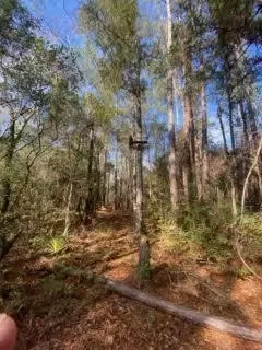 Parcel C Sunburst Drive, Crestview, FL 32539