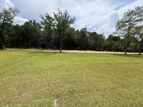 Exterior - 2414 Aleia Ln, Crestview, FL 32536 photo 4 of 5
