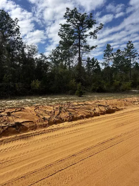 tbd Elkcam Blvd, Chipley, FL 32428 photo 3