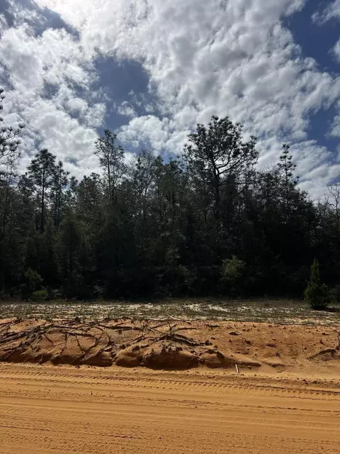 tbd Elkcam Blvd, Chipley, FL 32428 photo 2