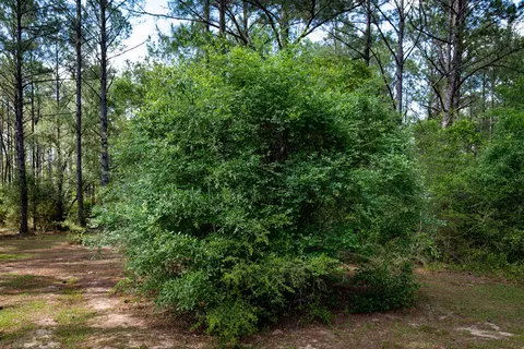 4353 Poverty Creek Rd, Crestview, FL 32539 photo 39