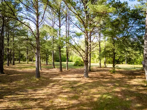 4353 Poverty Creek Rd, Crestview, FL 32539 photo 15