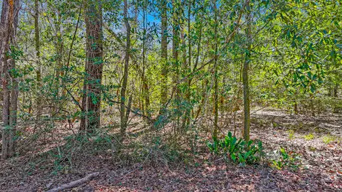 tbd Cedar Log Lake Rd, Ponce De Leon, FL 32455