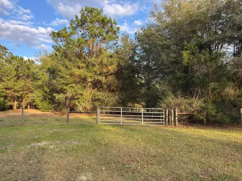 Exterior - 3955 Hwy 77, Chipley, FL 32428 photo 3 of 8