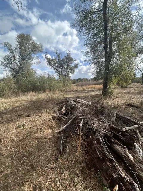 107 Pike Pond Rd, Chipley, FL 32428 photo 34