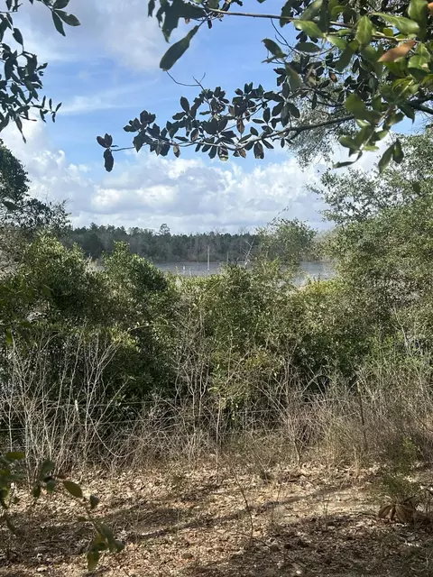 107 Pike Pond Rd, Chipley, FL 32428 photo 20