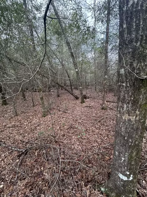 107 Pike Pond Rd, Chipley, FL 32428 photo 31