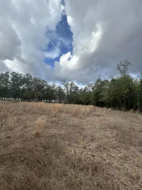 107 Pike Pond Rd, Chipley, FL 32428 photo 23