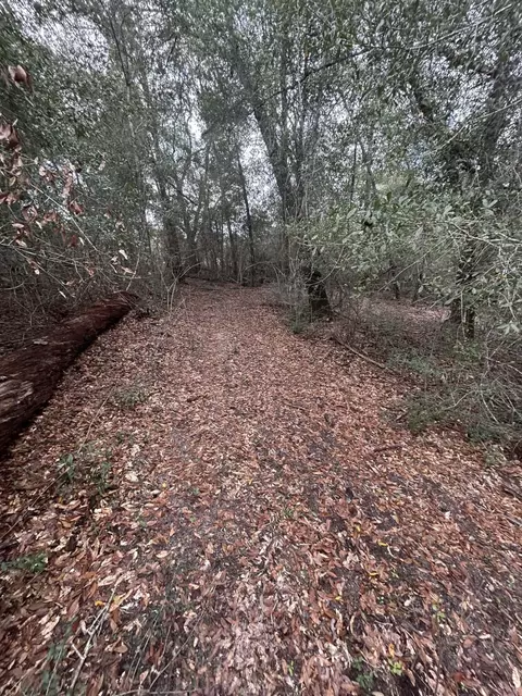 107 Pike Pond Rd, Chipley, FL 32428 photo 30