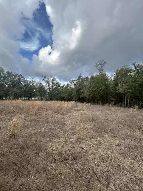 107 Pike Pond Rd, Chipley, FL 32428 photo 24