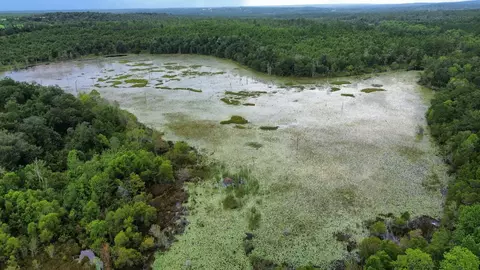 107 Pike Pond Rd, Chipley, FL 32428 photo 42
