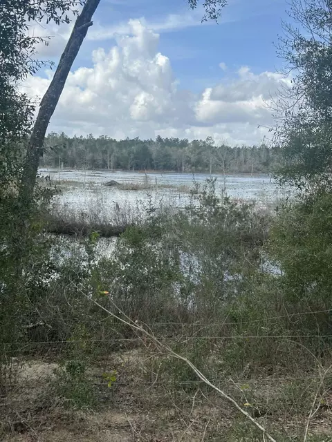 107 Pike Pond Rd, Chipley, FL 32428 photo 5