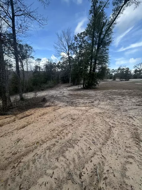 107 Pike Pond Rd, Chipley, FL 32428 photo 11