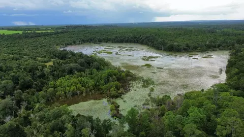 107 Pike Pond Rd, Chipley, FL 32428 photo 38