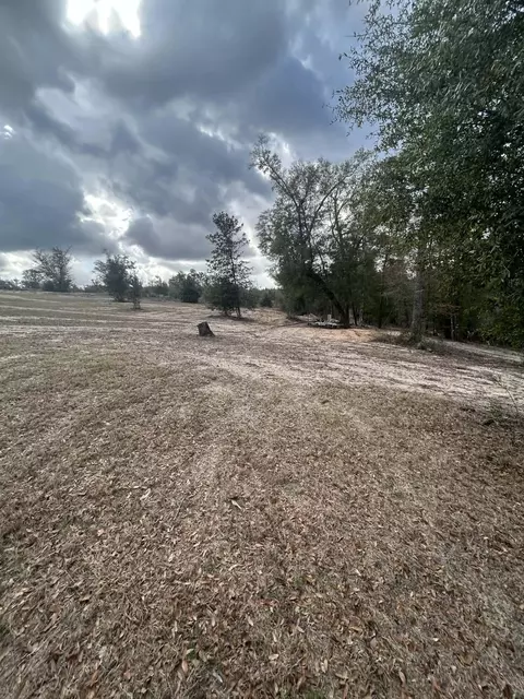 107 Pike Pond Rd, Chipley, FL 32428 photo 13