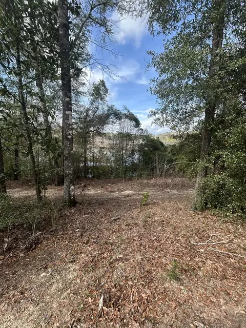 107 Pike Pond Rd, Chipley, FL 32428 photo 21