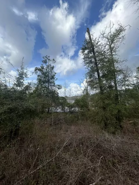 107 Pike Pond Rd, Chipley, FL 32428 photo 22