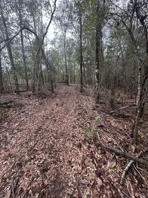 107 Pike Pond Rd, Chipley, FL 32428 photo 32