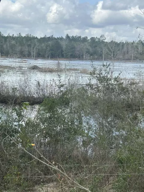 107 Pike Pond Rd, Chipley, FL 32428 photo 6