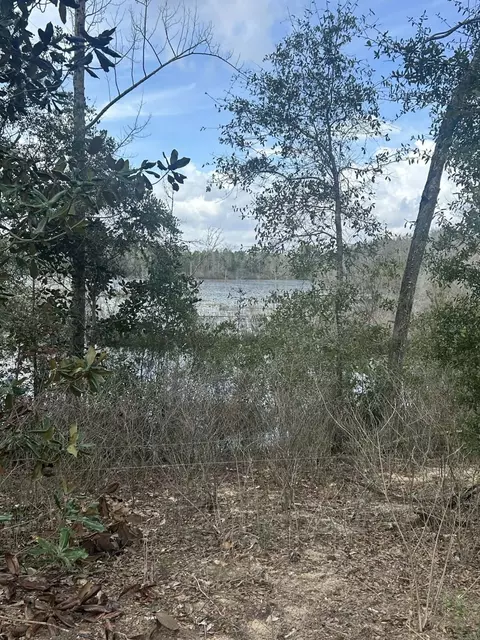 107 Pike Pond Rd, Chipley, FL 32428 photo 8