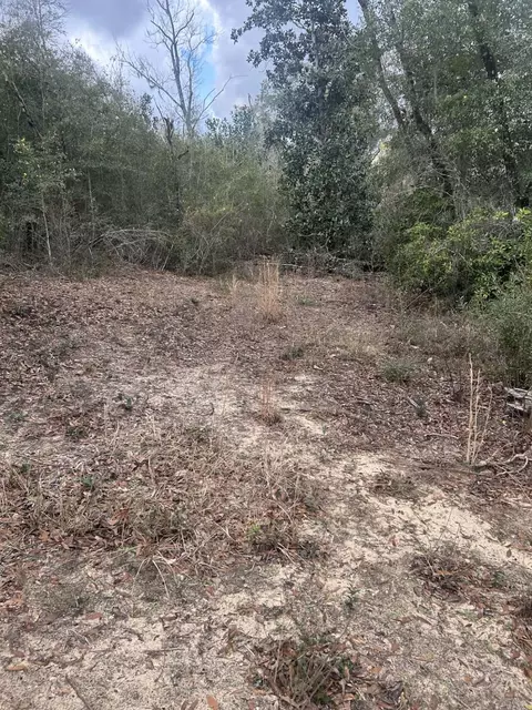 107 Pike Pond Rd, Chipley, FL 32428 photo 33