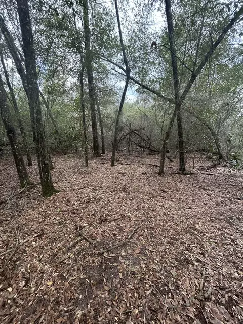 107 Pike Pond Rd, Chipley, FL 32428 photo 29