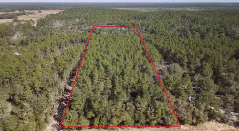 5 Acres J W Hollington Rd, Freeport, FL 32439