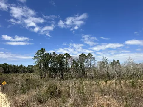 6409 Davis Road #RIVER ROAD, Caryville, FL 32427