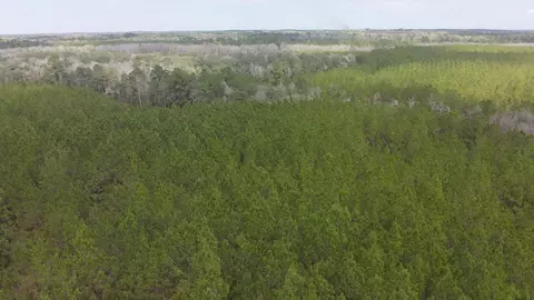 6418 Mattox Springs Road #S1, Caryville, FL 32427