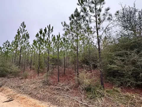 6418 Mattox Springs Road #S4, Caryville, FL 32427