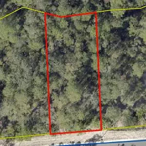 tbd Spirit Bear Way Lot 38 Blk C Way #LOT 38, BLK C, Freeport, FL 32439